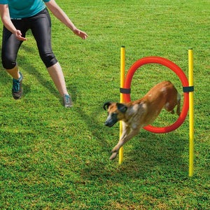 Beeztees Agility Hoop Set - Image 2